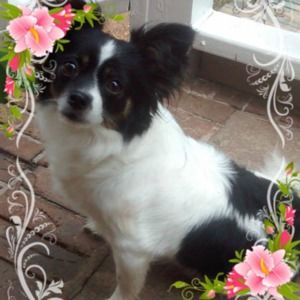 Meet your Posher, Margaret